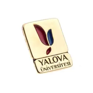 3D Enamel Lapel Pins 2 Color RZ 1813