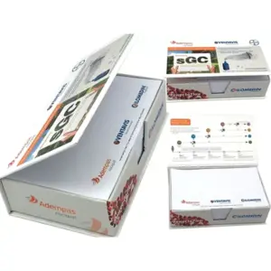 📝 300 Sheets Hard Cardboard Boxed Notepad