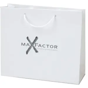 Laminated Cardboard Bag – 23x18x11.5 cm X 331823