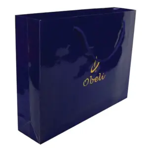 Laminated Cardboard Bag – 25x36x8 cm X352 3625